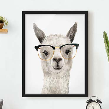Framed prints animals