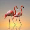Tapete Flamingo