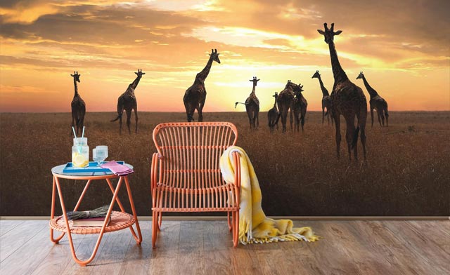 Fototapete Tiere Giraffen Familie