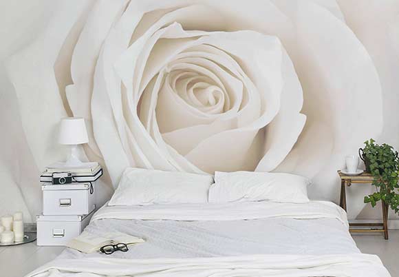 Vliestapete Pretty White Rose