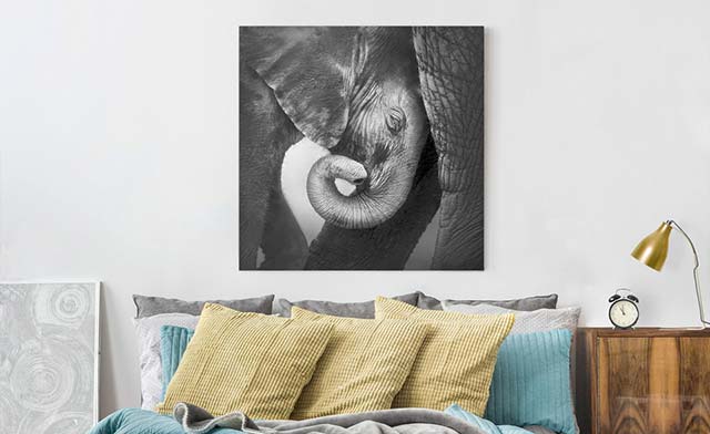 Leinwandbild Elefant Baby Schwarz Weiß