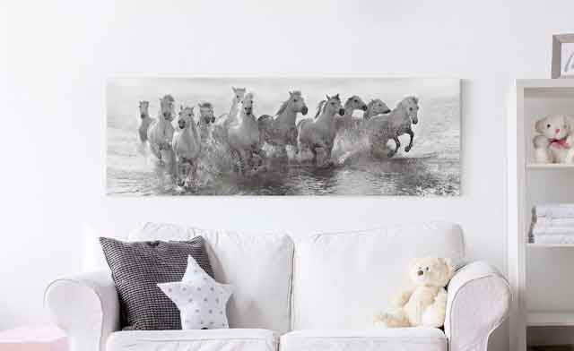 Acrylglasbilder Wandbilder Druck 125x50 Pferde Tiere 