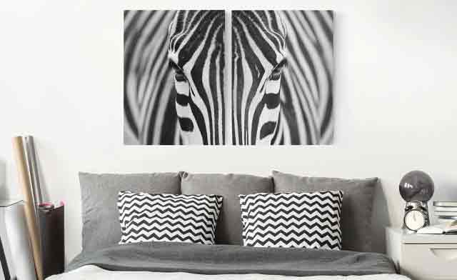 Tier Leinwandbilder - Zebra