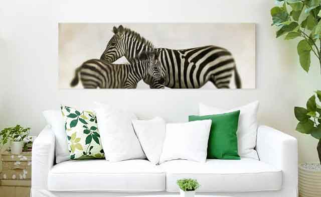 Leinwandbild Zebra - Familie