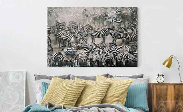 Leinwandbild Zebra - Zebraherde