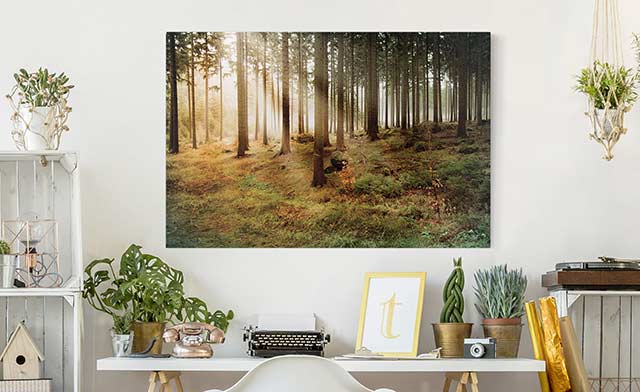 Wald Bilder auf Leinwand