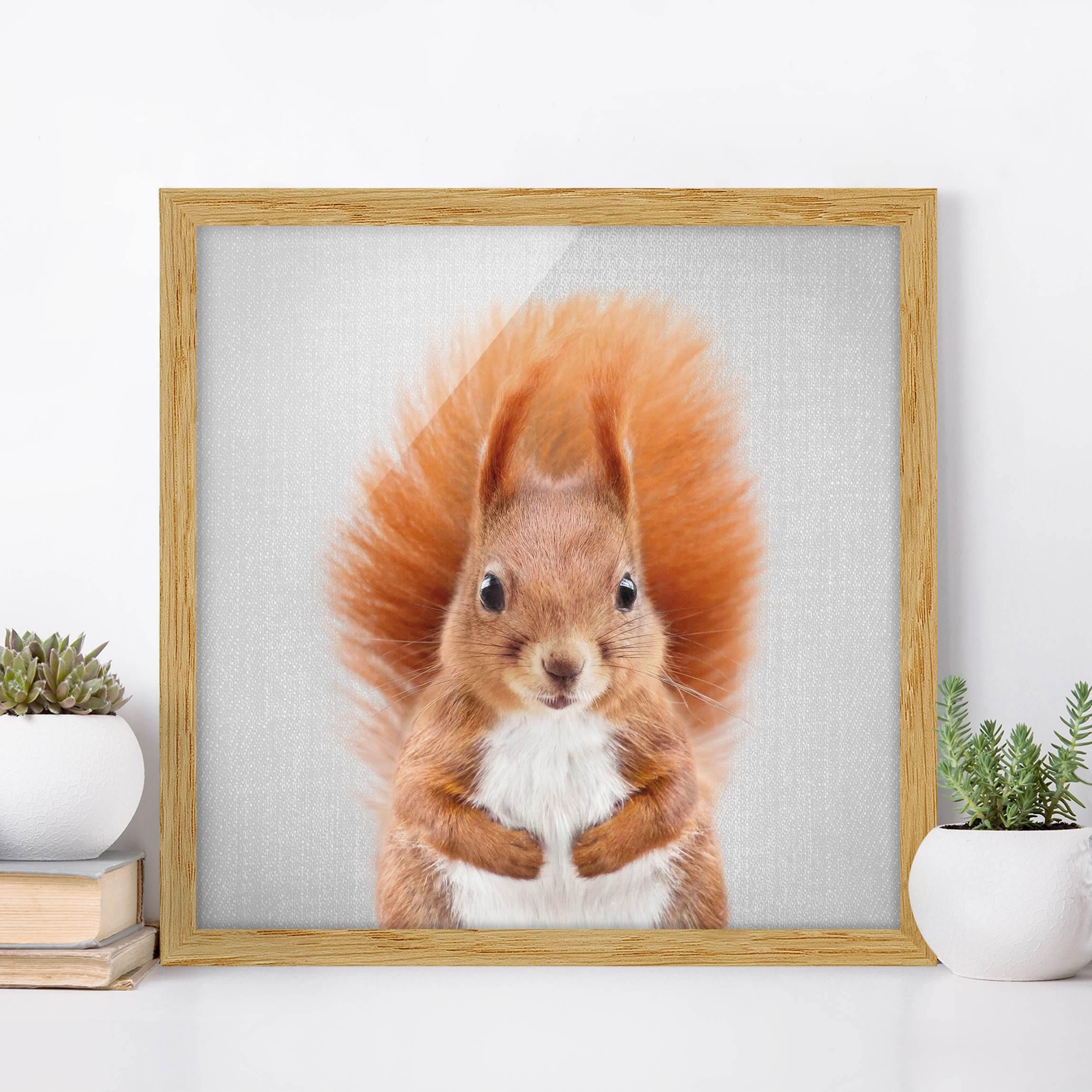 Bild mit Rahmen - Eichhörnchen Elisabeth - Quadrat - 1:1 | Bilder