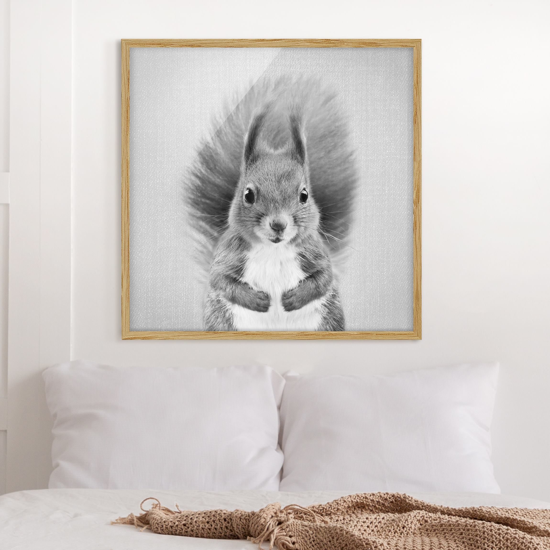 Bild mit Weiß Schwarz - 1:1 Elisabeth - Quadrat Rahmen - Eichhörnchen