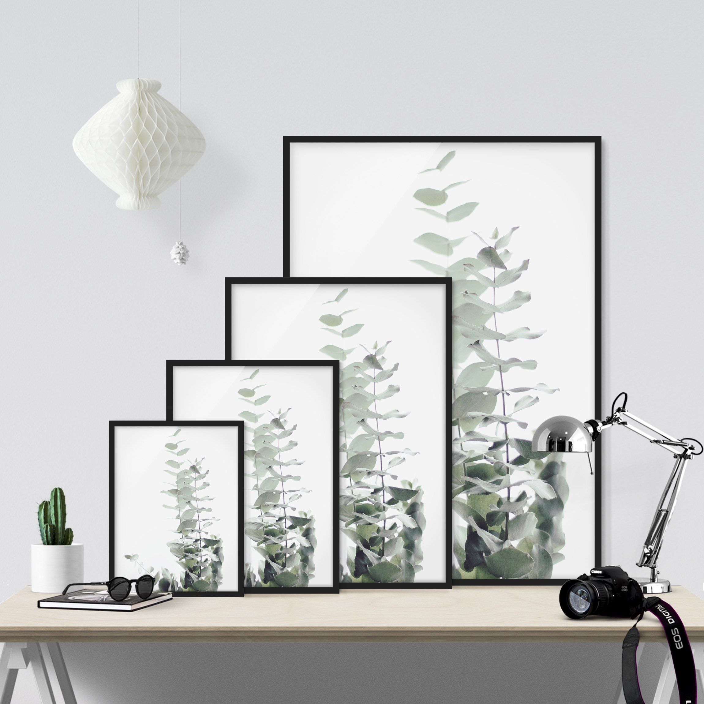 Eukalyptus im Weißen Licht Bild mit Rahmen im Hochformat | Bilderwelten