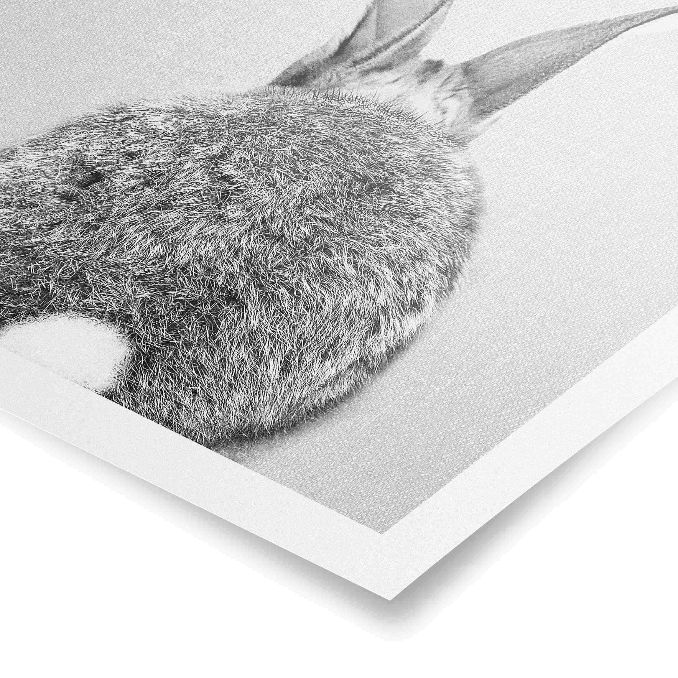 Poster - Hase von hinten 1:1 Schwarz - Quadrat Weiß