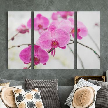 Wandbild Kunst-Druck auf Hart-Glas hochkant 60x120 Rosa Orchidee 