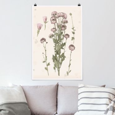 Poster - Herbarium in rosa I - Hochformat 3:2