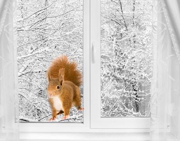 Fensterfolie - Fenstersticker No.298 Eichhörnchen II - Fensterbilder