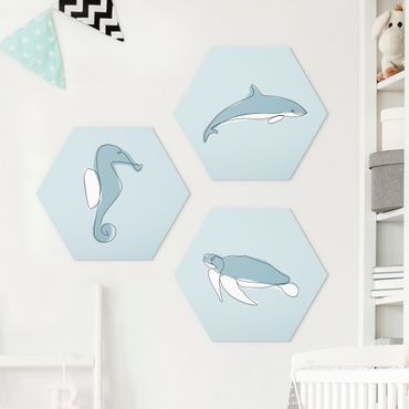 Hexagon Bild Forex 3-teilig - Delfin Schildkröte Seepferdchen Line Art