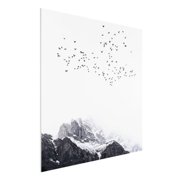 Forex Fine Art Print - Vogelschwarm vor Bergen Schwarz Weiß - Quadrat 1:1
