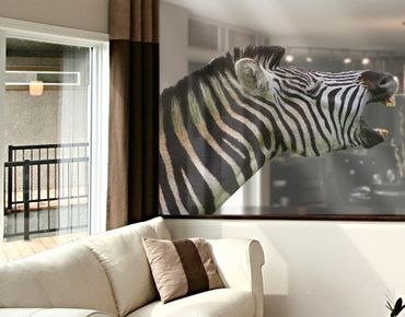 Fensterfolie - Fenstersticker No.490 Brüllendes Zebra - Fensterbilder