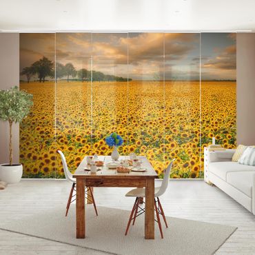 Schiebegardinen Set - Feld mit Sonnenblumen - Flächenvorhänge