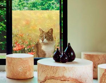 Fensterfolie - Sichtschutz Fenster Katze im Mohnfeld - Fensterbilder
