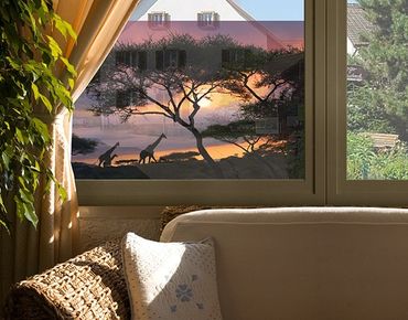Fensterfolie - Sichtschutz Fenster Safari in Afrika - Fensterbilder