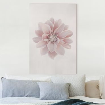 Leinwandbild - Dahlie Blume Pastell Weiß Rosa - Hochformat 3:2