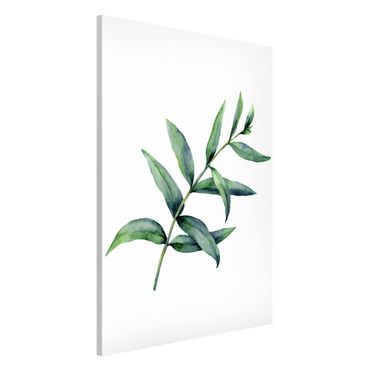 Magnettafel - Aquarell Eucalyptus I - Hochformat 2:3