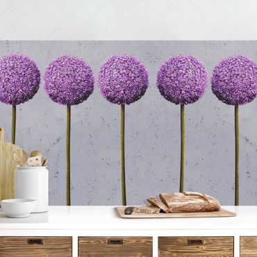 Küchenrückwand - Allium Kugel-Blüten