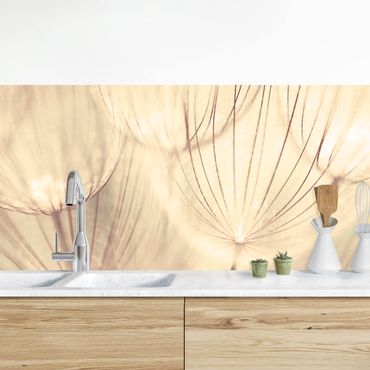 Küchenrückwand - Pusteblumen Nahaufnahme in wohnlicher Sepia Tönung