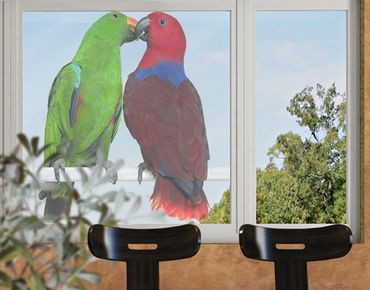 Fensterfolie - Fenstersticker No.645 Verliebte Papageien - Fensterbilder