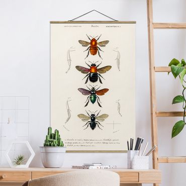 Stoffbild mit Posterleisten - Vintage Lehrtafel Insekten - Hochformat 2:3