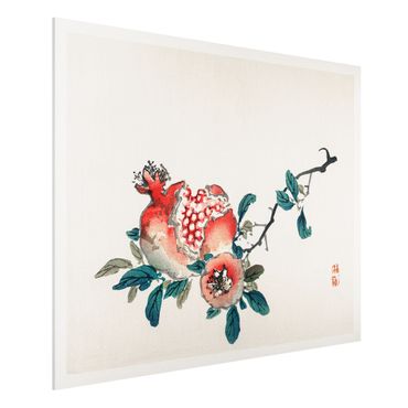 Forex Fine Art Print - Asiatische Vintage Zeichnung Granatapfel - Querformat 3:4