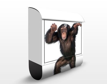 Briefkasten mit Zeitungsfach - Vergnügter Affe - Briefkasten mit Tiermotiv