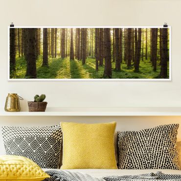 Poster - Sonnenstrahlen in grünem Wald - Panorama Querformat