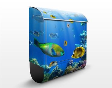 Briefkasten mit Zeitungsfach - Underwater Lights - Briefkasten mit Tiermotiv