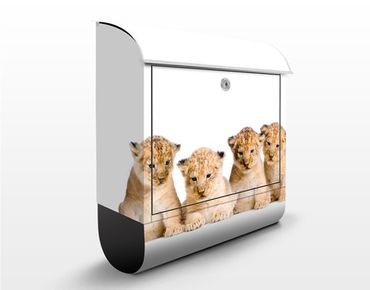 Briefkasten mit Zeitungsfach - Sweet Lion Babys - Briefkasten mit Tiermotiv