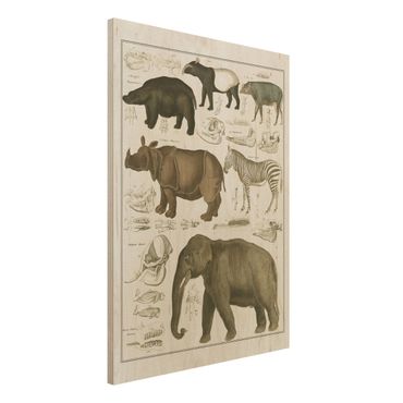 Holzbild - Vintage Lehrtafel Elefant, Zebra und Nashorn - Hochformat 4:3