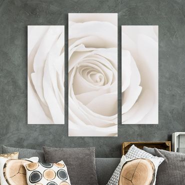 Leinwandbild 3-teilig - Pretty White Rose - Galerie Triptychon