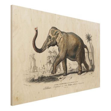 Holzbild - Vintage Lehrtafel Elefant - Querformat 2:3