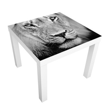 Möbelfolie für IKEA Lack - Klebefolie Alter Löwe