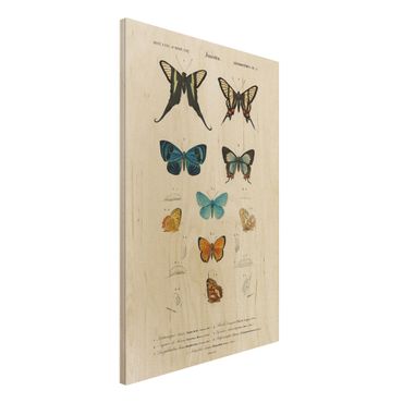 Holzbild - Vintage Lehrtafel Schmetterlinge I - Hochformat 3:2