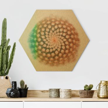 Hexagon Bild Alu-Dibond - Wasserfarben - Kaktusblüte