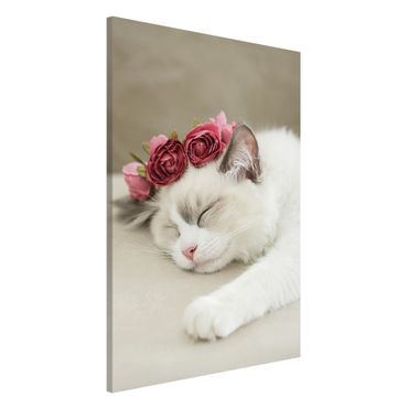 Magnettafel - Schlafende Katze mit Rosen - Hochformat 2:3
