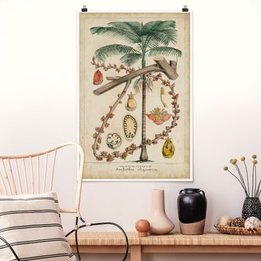 Poster - Vintage Lehrtafel Exotische palmen II - Hochformat 3:2
