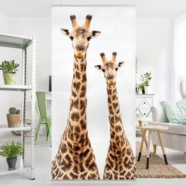 Raumteiler - Portrait zweier Giraffen 250x120cm