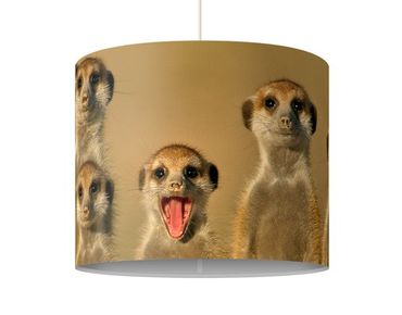 Hängelampe - Meerkat Family