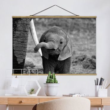 Stoffbild mit Posterleisten - Elefantenbaby - Querformat 3:2