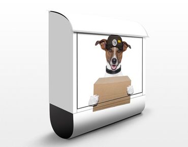 Briefkasten mit Zeitungsfach - Hund mit Paket - Briefkasten mit Tiermotiv
