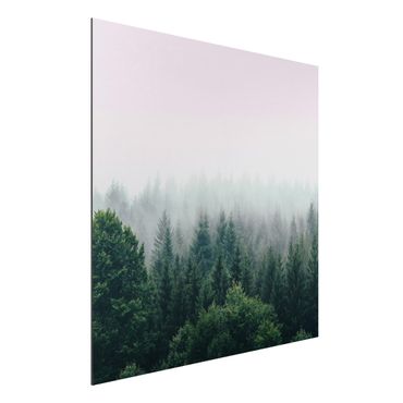 Alu-Dibond - Wald im Nebel Dämmerung - Quadrat