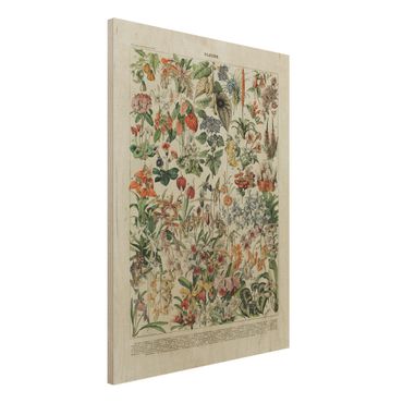 Holzbild - Vintage Lehrtafel Blumen III - Hochformat 4:3