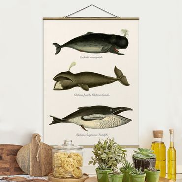 Stoffbild mit Posterleisten - Drei Vintage Wale - Hochformat 3:4