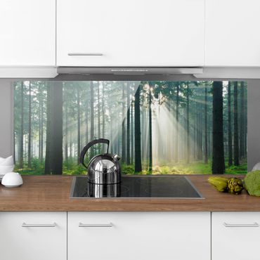 Küchenrückwand aus Glas ESG Spritzschutz 125x50cm See Steine Wald Landschaft 